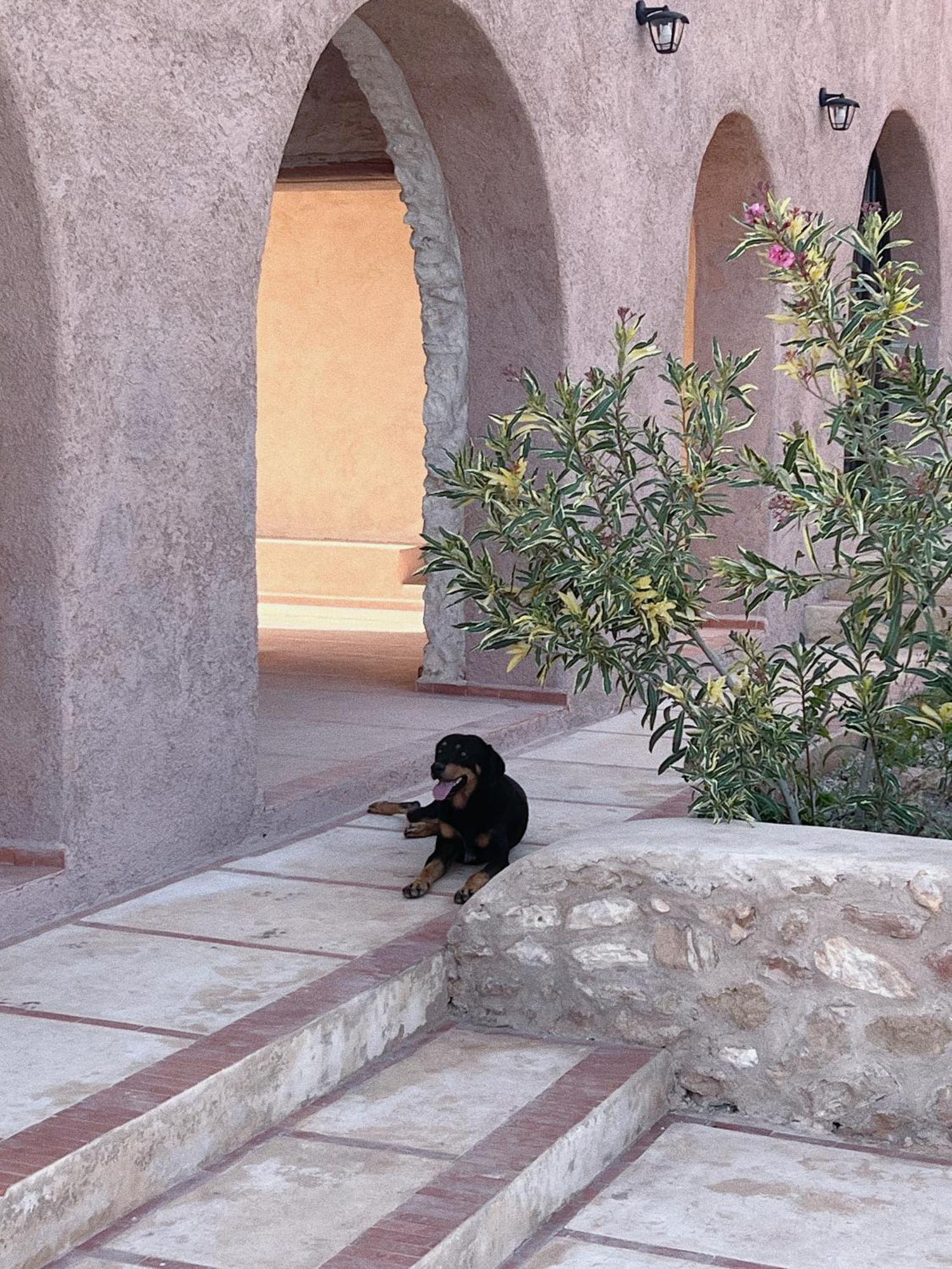 Dar Omnia Hotel Essaouira Eksteriør billede